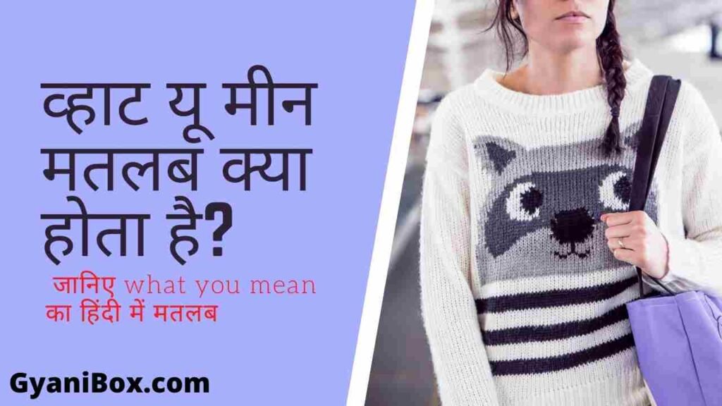 What you mean meaning in hindi